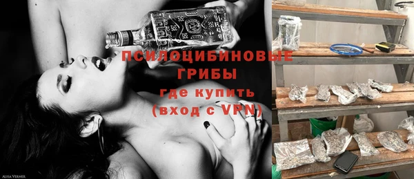 мяу мяу мука Белокуриха